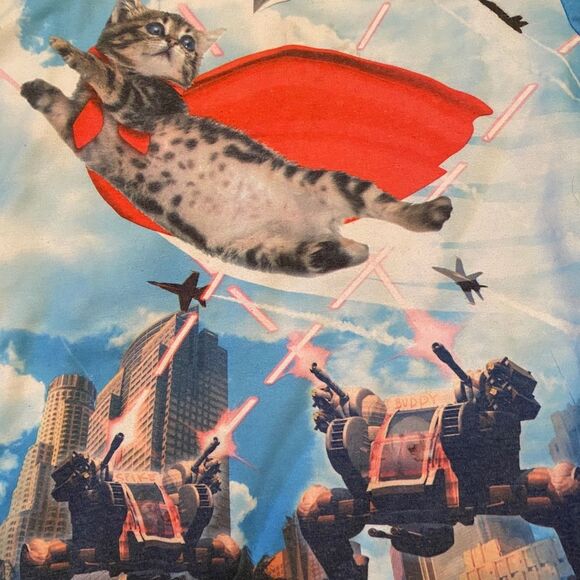 Fifth Sun Fun Cat Sweatshirt - Picture 2 of 4